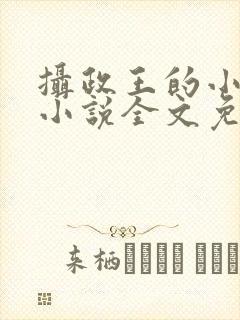 摄政王的小闲妻小说全文免费阅读