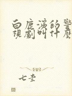 白鹿演的警察电视剧叫什么