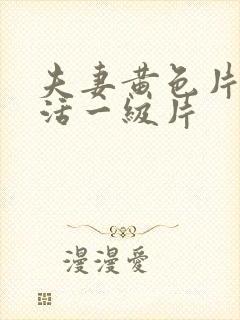 夫妻黄色片性生活一级片