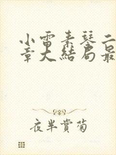 小雷素琴二十八章大结局最新章节列