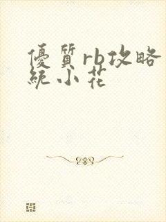 优质rb攻略系统小花