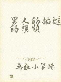 男人的插进女人的视频