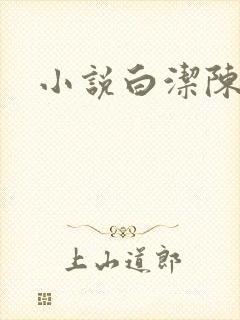 小说白洁陈三封面