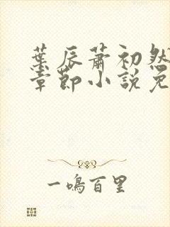 叶辰萧初然最新章节小说免费阅读封面