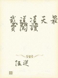 武道凌天最新免费阅读