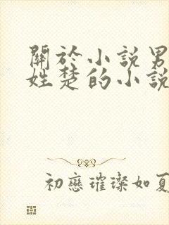 关于小说男主角姓楚的小说