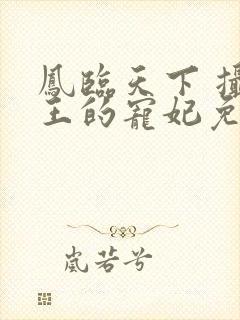 凤临天下 摄政王的宠妃免费阅读