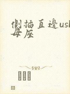 侧插直边usb母座