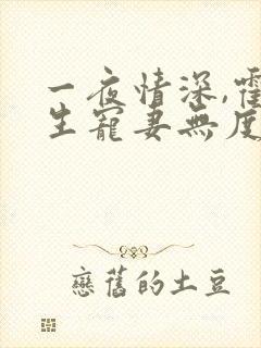 一夜情深,霍先生宠妻无度全书