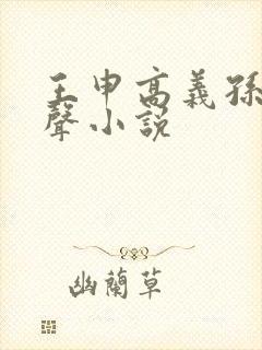 王申高义孙倩有声小说