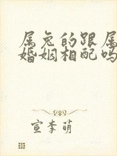 属兔的跟属虎的婚姻相配吗