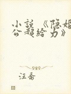 小说 《隐婚老公超给力》