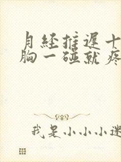 月经推迟十三天胸一碰就疼封面