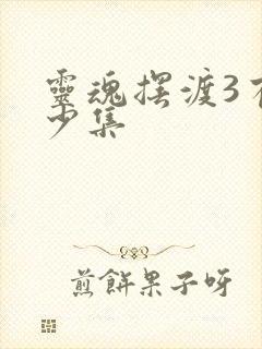 灵魂摆渡3有多少集封面