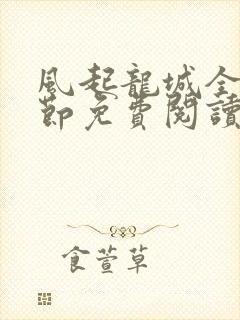 风起龙城全部章节免费阅读封面