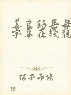 善良的岳母中文字幕在线观看