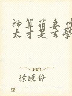 神算萌妻 傅太太才是玄学真大佬封面