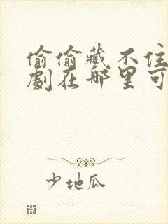 偷偷藏不住电视剧在哪里可以免费看