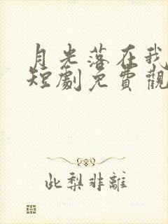 月光落在我手上短剧免费观看封面