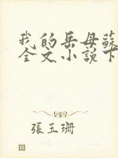 我的岳母苏霈真全文小说下载