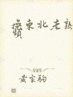 操东北老熟女视频封面