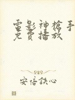 电影神枪手国语免费播放封面