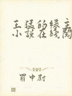 王猛的绿主人生小说在线阅读