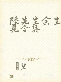 陆先生余生不再见合集