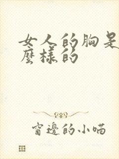 女人的胸是长什么样的