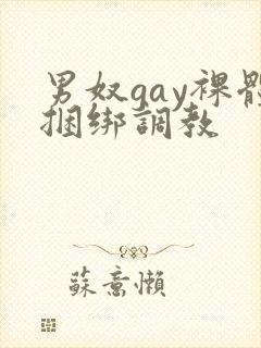 男奴gay裸体捆绑调教