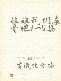 姐姐我们来谈恋爱吧1~5集