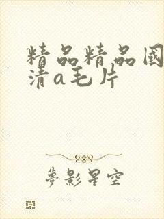 精品精品国产高清a毛片