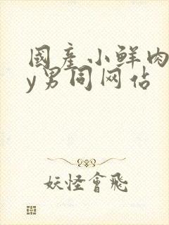 国产小鲜肉gay男同网站