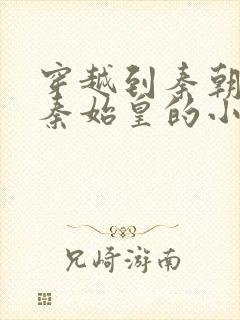 穿越到秦朝帮助秦始皇的小说