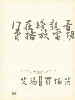 17在线观看免费播放电视剧大全封面