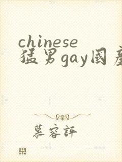 chinese猛男gay国产video网站