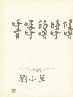 呼吸的时候肺部有呼噜呼噜的声音封面