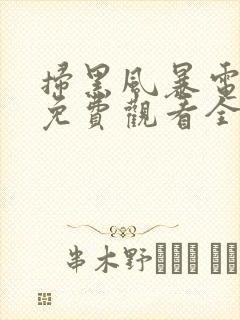 扫黑风暴电视剧免费观看全集完整版