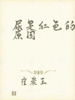 尿是红色的什么原因