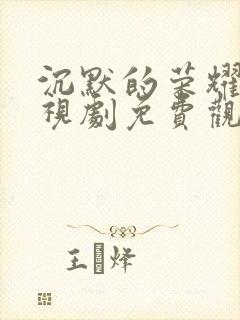 沉默的荣耀 电视剧免费观看全集高清版