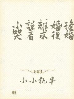 小说离婚后前夫哭着求复婚txt