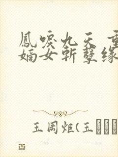 凤唳九天 重生嫡女斩孽缘