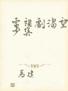 电视剧渴望有多少集