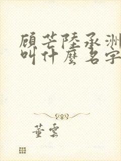 顾芒陆承洲小说叫什么名字