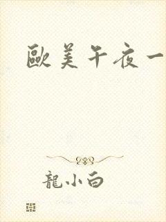 欧美午夜一区二