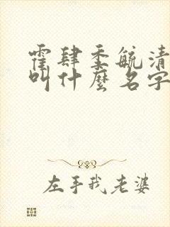 霍肆季毓清小说叫什么名字封面