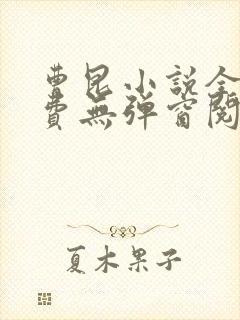 曹昆小说全文免费无弹窗阅读封面