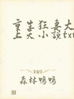 重生狂妻大佬宠上天小说txt下载