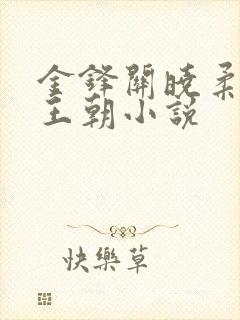 金锋关晓柔大康王朝小说