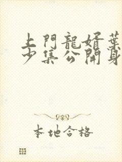 上门龙婿叶辰多少集公开身份